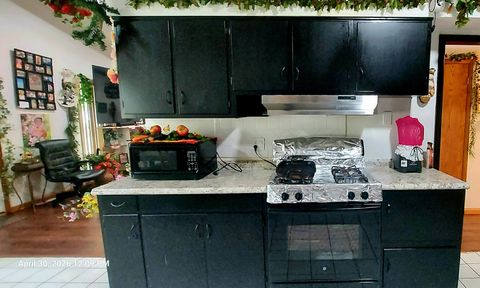 Tiny photo for 703 Sheldon Avenue, Aurora, IL 60506 (MLS # 12633817)