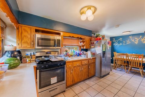 Tiny photo for 715 Water Street, Joliet, IL 60436 (MLS # 12475458)
