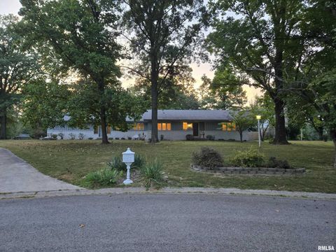 Tiny photo for 2 Webster Hill Street, Mt Vernon, IL 62864 (MLS # EB459320)