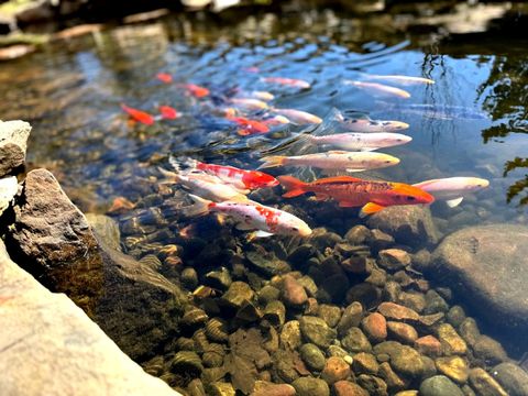 Tiny photo for 1524 W Mooseheart Road, North Aurora, IL 60542 (MLS # 12606526)