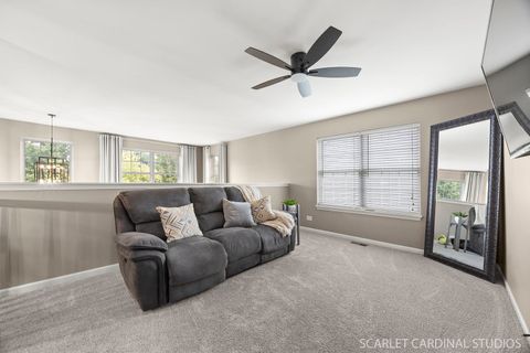 Tiny photo for 13905 Trillium Lane, Plainfield, IL 60544 (MLS # 12507304)