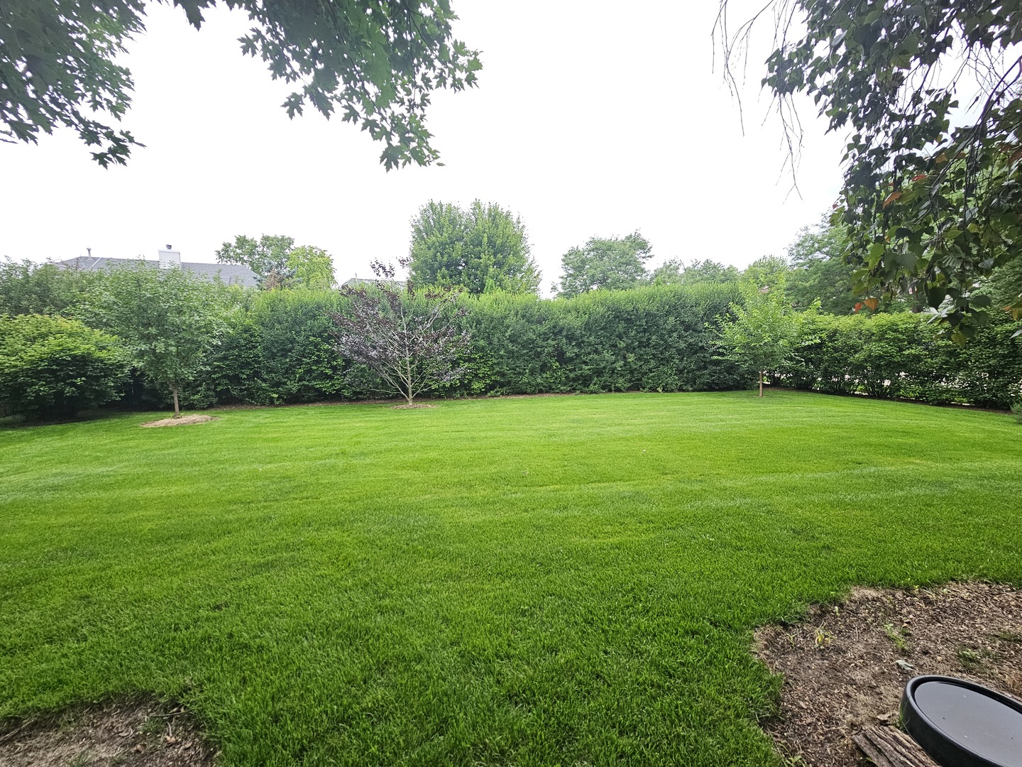 10 Montclair Drive