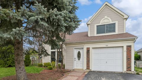 Single Family Residence in Mundelein IL 123 Wilton Lane.jpg