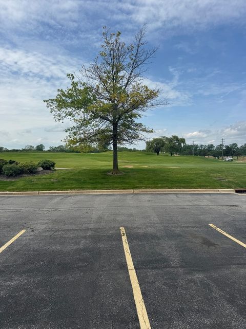 Tiny photo for 12321 Meadow Lane #1, Blue Island, IL 60406 (MLS # 12652999)