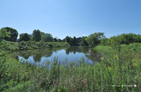 Tiny photo for 1402 Benton Road, Lake Villa, IL 60046 (MLS # 12745515)