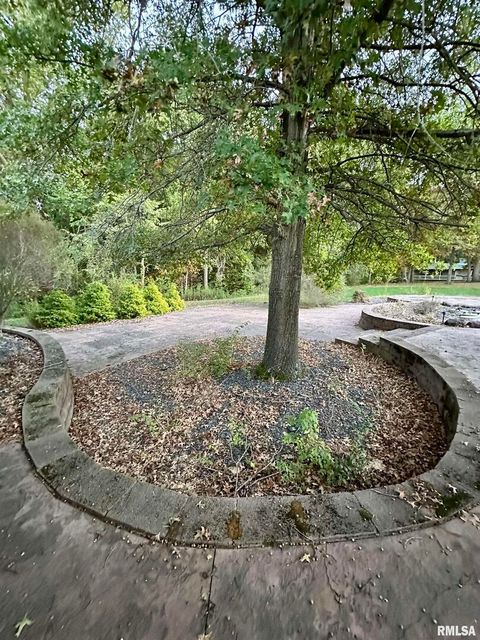 Tiny photo for 20 ASHLEY Lane, Casey, IL 62420 (MLS # EB460124)