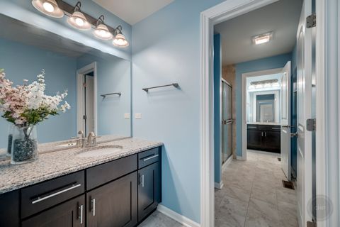 Tiny photo for 3907 Nannyberry Street, Naperville, IL 60564 (MLS # 12441385)