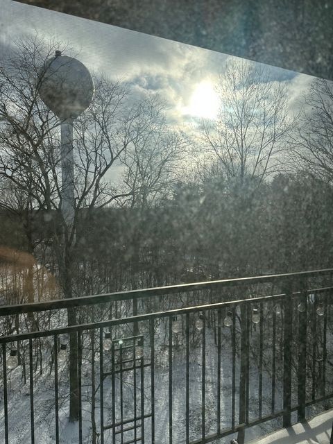 Tiny photo for 5800 Oakwood Drive #5G, Lisle, IL 60532 (MLS # 12538182)