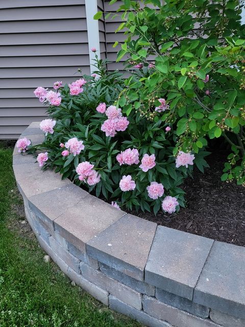 Tiny photo for 2S631 Angeline Court, Warrenville, IL 60555 (MLS # 12430600)