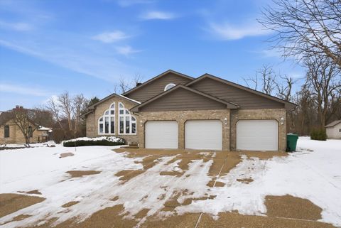 16754 Pineview Drive Homer Glen IL 60491