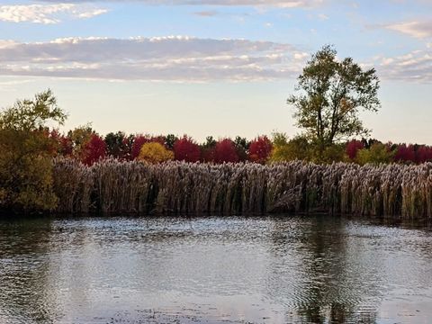 Tiny photo for 1340 E 2700 North Road, Ashkum, IL 60911 (MLS # 12455907)