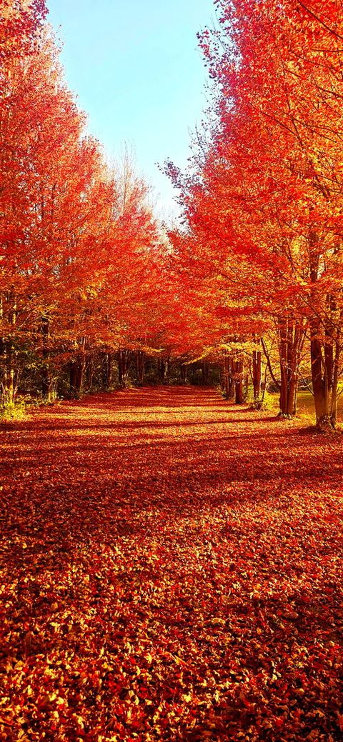 Tiny photo for 1340 E 2700 North Road, Ashkum, IL 60911 (MLS # 12455907)