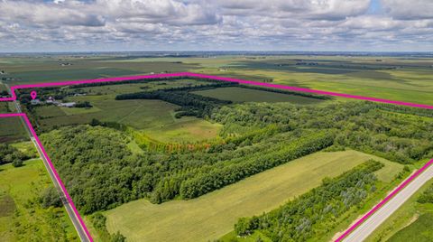 Tiny photo for 1340 E 2700 North Road, Ashkum, IL 60911 (MLS # 12455907)