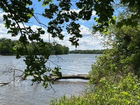 Tiny photo for 33709 S West River Road, Wilmington, IL 60481 (MLS # 12647349)