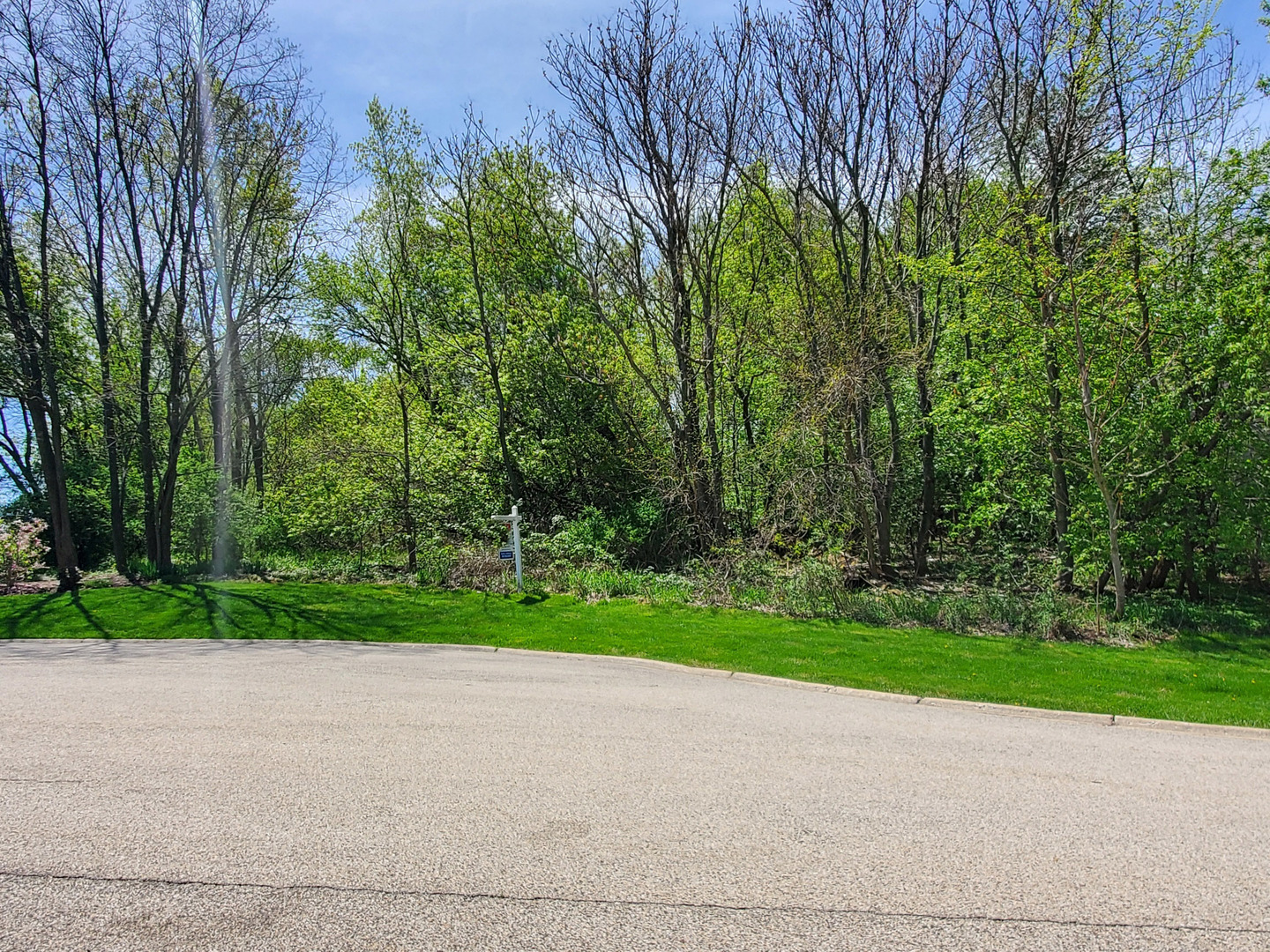 16149 Scenic Court