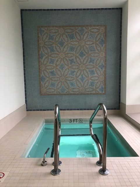 Tiny photo for Chicago, IL 60611 (MLS # 12604045)