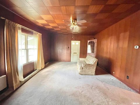 Tiny photo for 602 E MAIN Street, Christopher, IL 62822 (MLS # QC4269282)