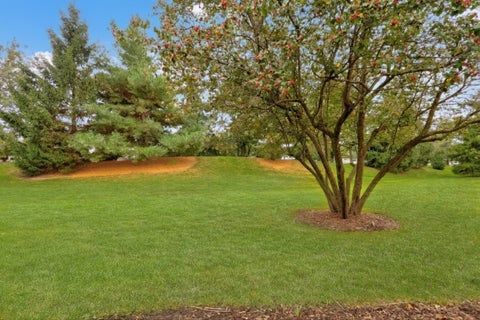 Tiny photo for 36098 N New Bridge Court, Gurnee, IL 60031 (MLS # 12787458)