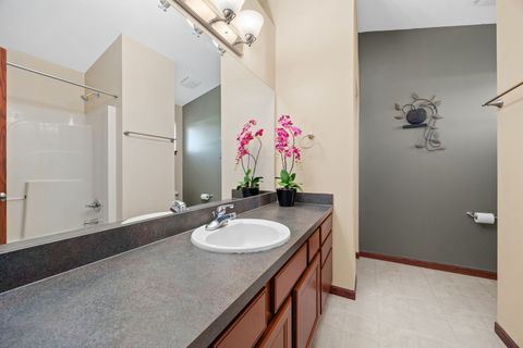 Tiny photo for 1506 STAGHORN Drive, Joliet, IL 60431 (MLS # 12453219)