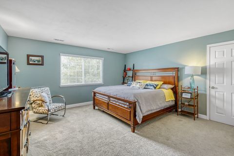 Tiny photo for 273 Nicole Drive #E, South Elgin, IL 60177 (MLS # 12606202)