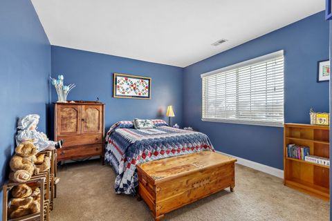 Tiny photo for 273 Nicole Drive #E, South Elgin, IL 60177 (MLS # 12606202)