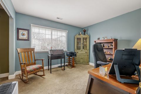 Tiny photo for 273 Nicole Drive #E, South Elgin, IL 60177 (MLS # 12606202)