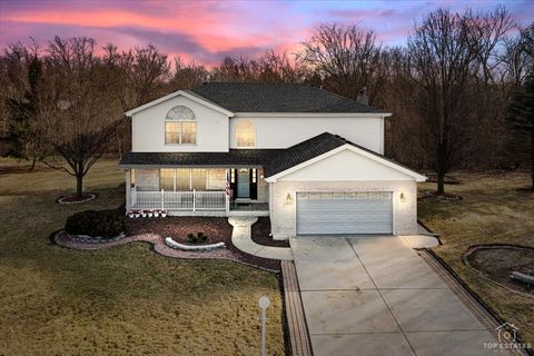 Tiny photo for 24495 Patriot Court, Crete, IL 60417 (MLS # 12580307)