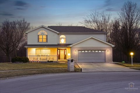 Photo of 24495 Patriot Court, Crete, IL 60417 (MLS # 12580307)