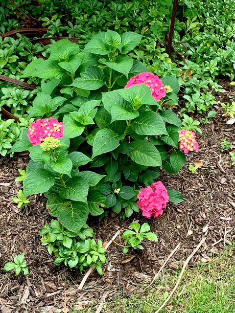 Tiny photo for 369 Vincent Place, Elgin, IL 60123 (MLS # 12522123)