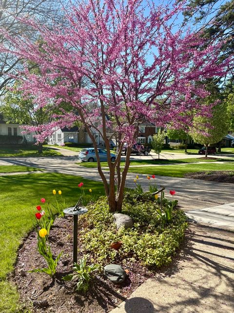 Tiny photo for 369 Vincent Place, Elgin, IL 60123 (MLS # 12522123)