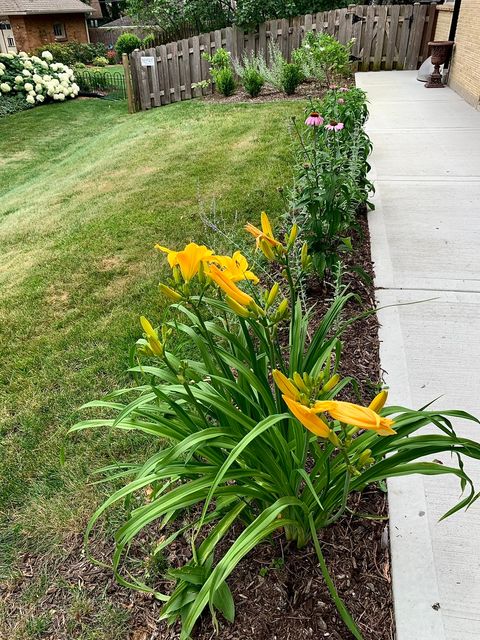 Tiny photo for 369 Vincent Place, Elgin, IL 60123 (MLS # 12522123)