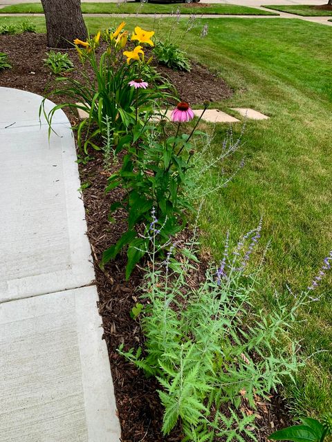 Tiny photo for 369 Vincent Place, Elgin, IL 60123 (MLS # 12522123)