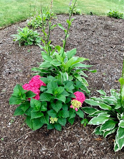 Tiny photo for 369 Vincent Place, Elgin, IL 60123 (MLS # 12522123)