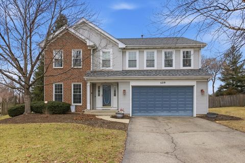 Photo of 529 Springwood Avenue, East Dundee, IL 60118 (MLS # 12531669)