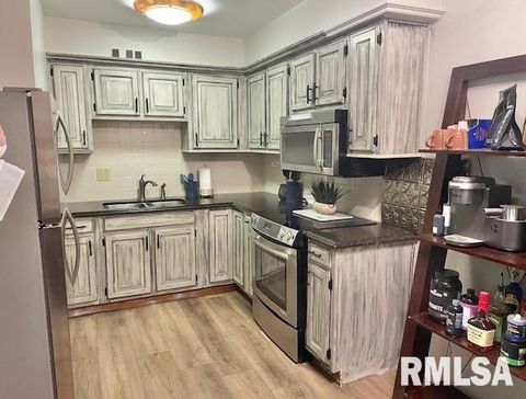 Tiny photo for 940 17TH Street #4, Moline, IL 61265 (MLS # QC4267751)