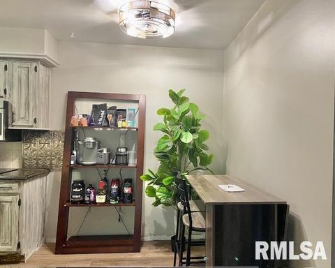 Tiny photo for 940 17TH Street #4, Moline, IL 61265 (MLS # QC4267751)