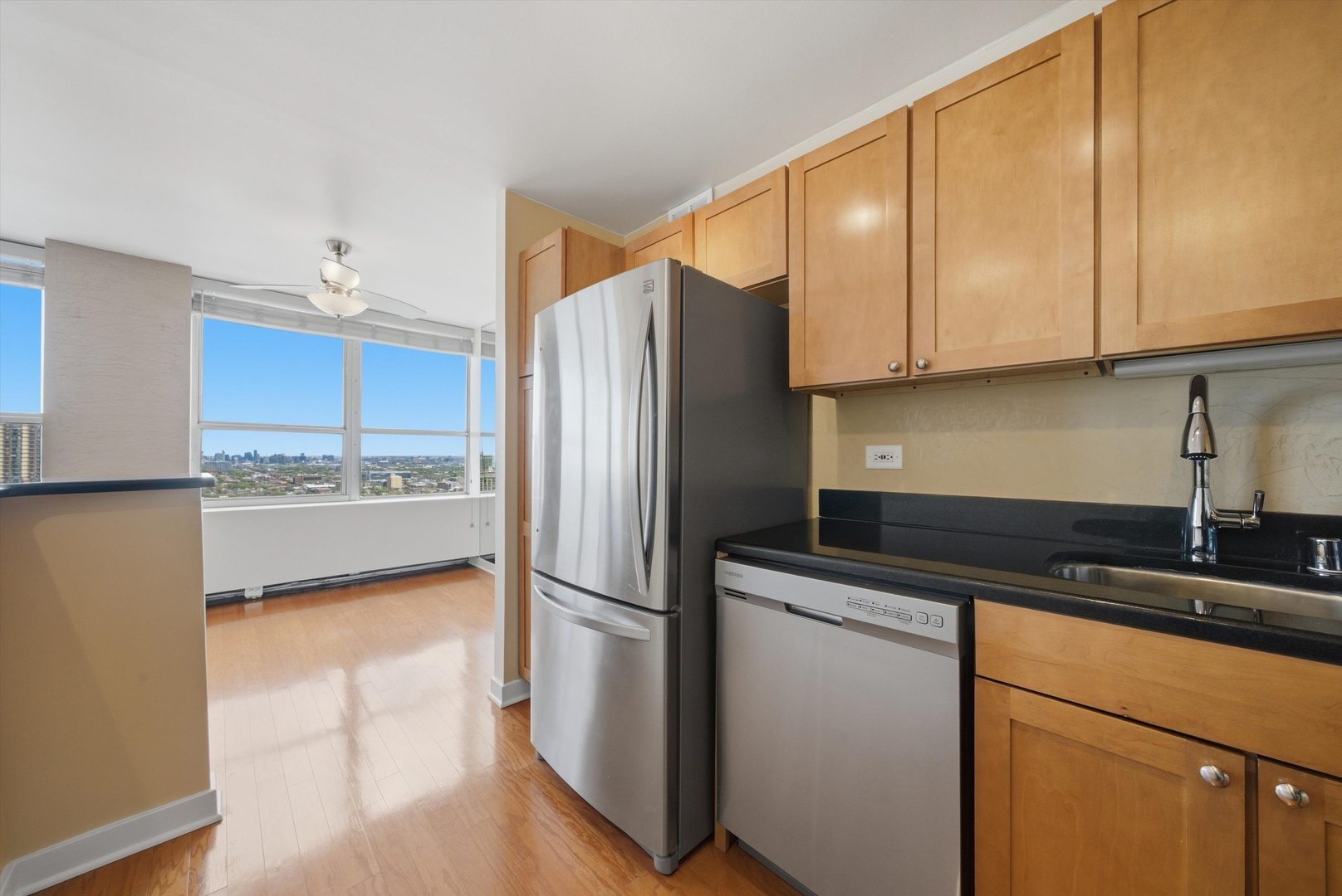 655 W Irving Park Road 4113