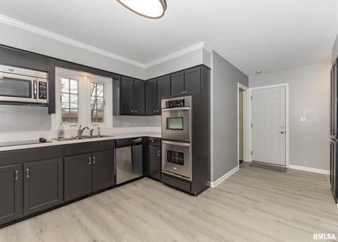 Tiny photo for 3907 44TH Street, Rock Island, IL 61201 (MLS # 12551310)