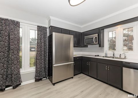 Tiny photo for 3907 44TH Street, Rock Island, IL 61201 (MLS # 12551310)