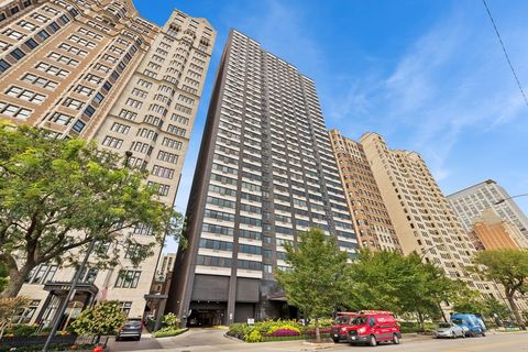 1440 N Lake Shore Drive 28D Chicago IL 60610