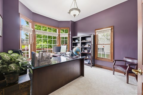 Tiny photo for 908 Knox Lane, Batavia, IL 60510 (MLS # 12634513)