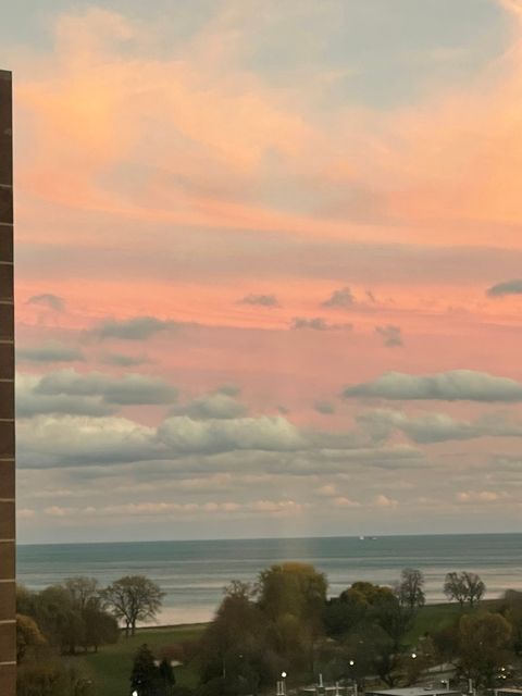 Tiny photo for 720 W Gordon Terrace #15N, Chicago, IL 60613 (MLS # 12439978)