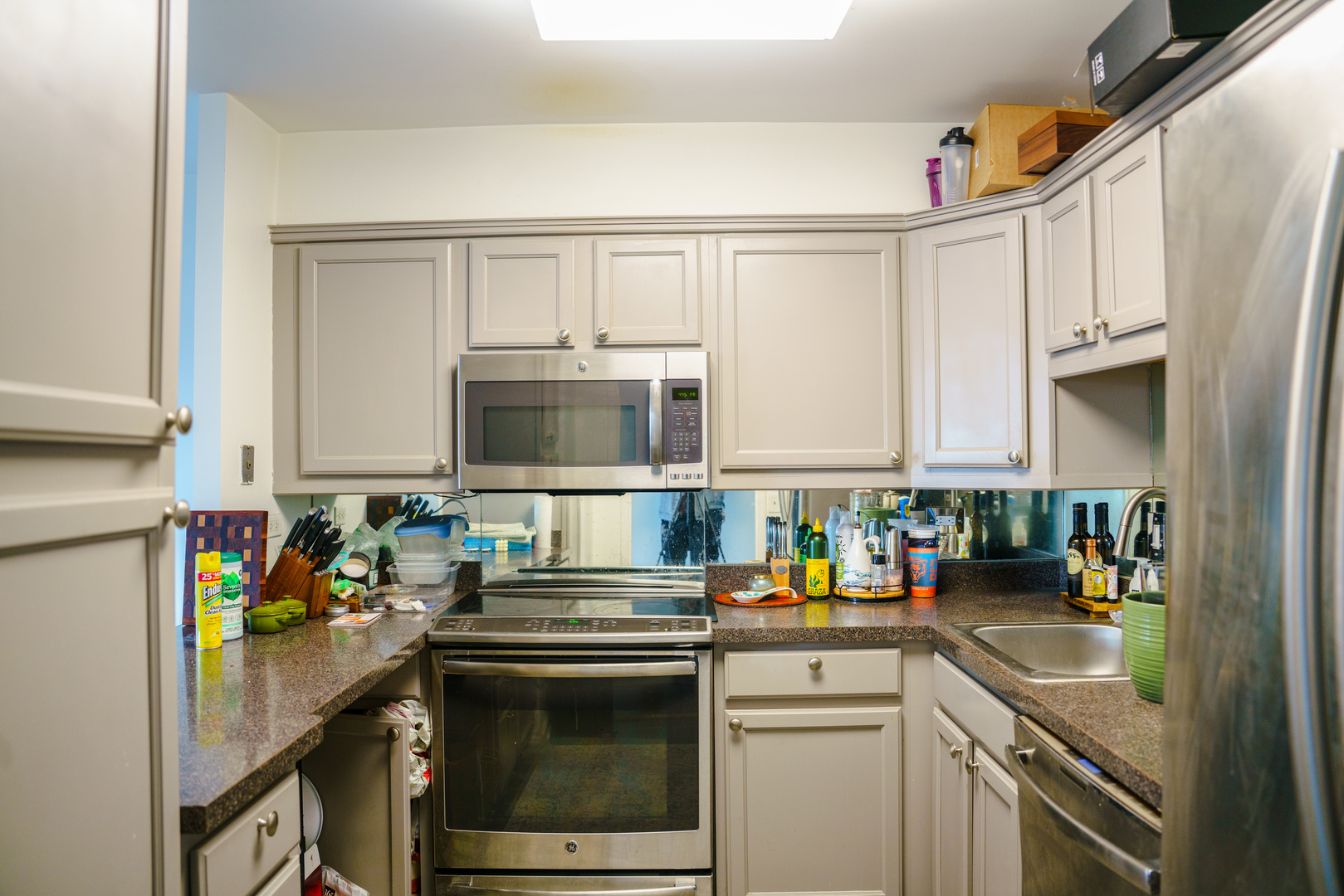 1560 N Sandburg Terrace 503J