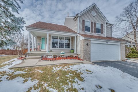 A home in South Elgin