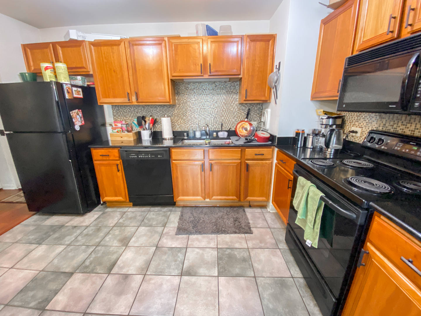 1250 N LaSalle Street 1004