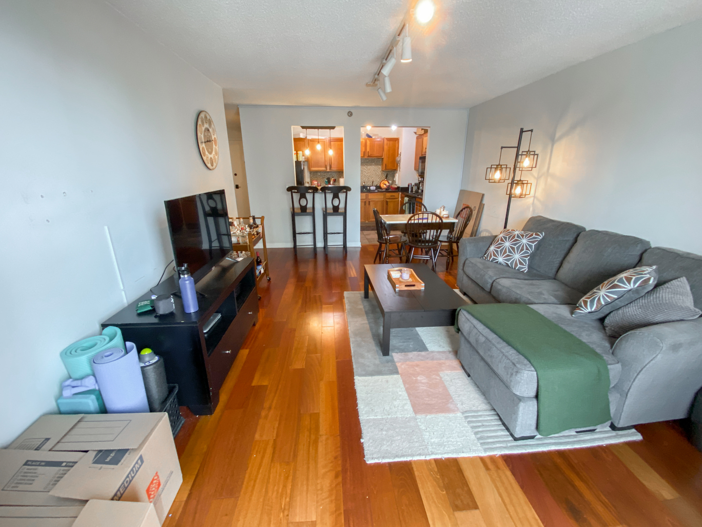 1250 N LaSalle Street 1004