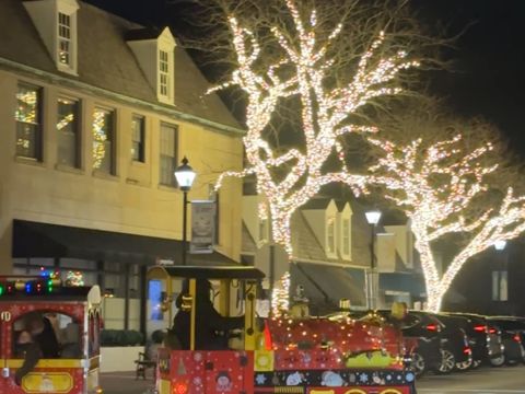 Tiny photo for 315 Hawthorn Avenue #E, Glencoe, IL 60022 (MLS # 12579449)