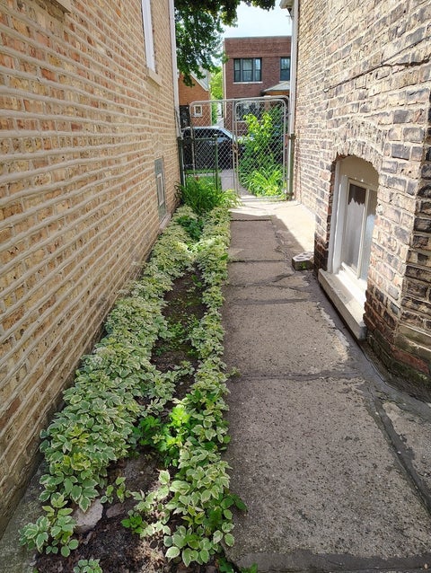 Tiny photo for 2243 N Kedvale Avenue, Chicago, IL 60639 (MLS # 12767041)