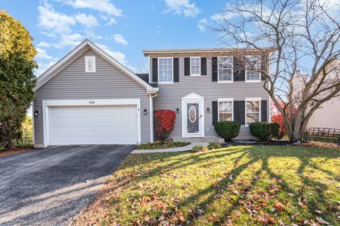 714 Pinehurst Lane Oswego IL 60543