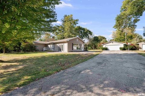 Tiny photo for 202 5TH Street, Matherville, IL 61263 (MLS # QC4268596)